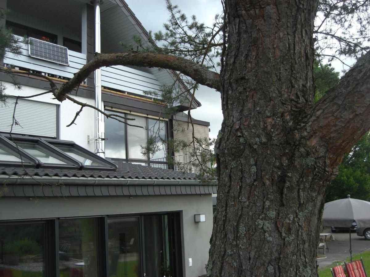Ferienwohnung Alter Weinberg ซาร์บวร์ก ภายนอก รูปภาพ