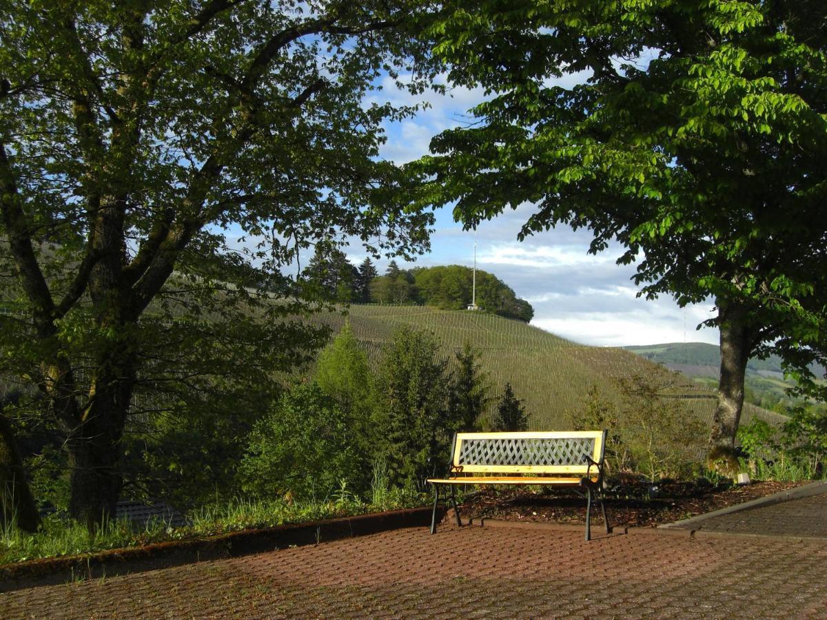 Ferienwohnung Alter Weinberg ซาร์บวร์ก ภายนอก รูปภาพ