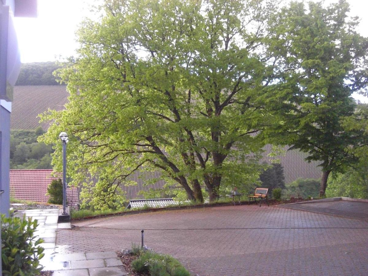 Ferienwohnung Alter Weinberg ซาร์บวร์ก ภายนอก รูปภาพ